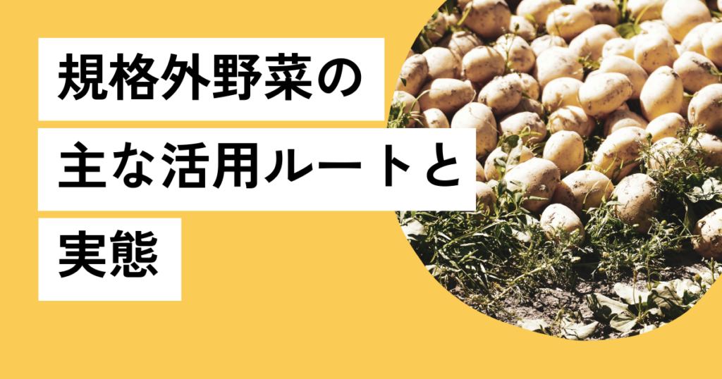 規格外野菜の主な活用ルートと実態